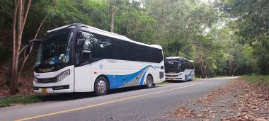 Xe 29 chỗ Universe