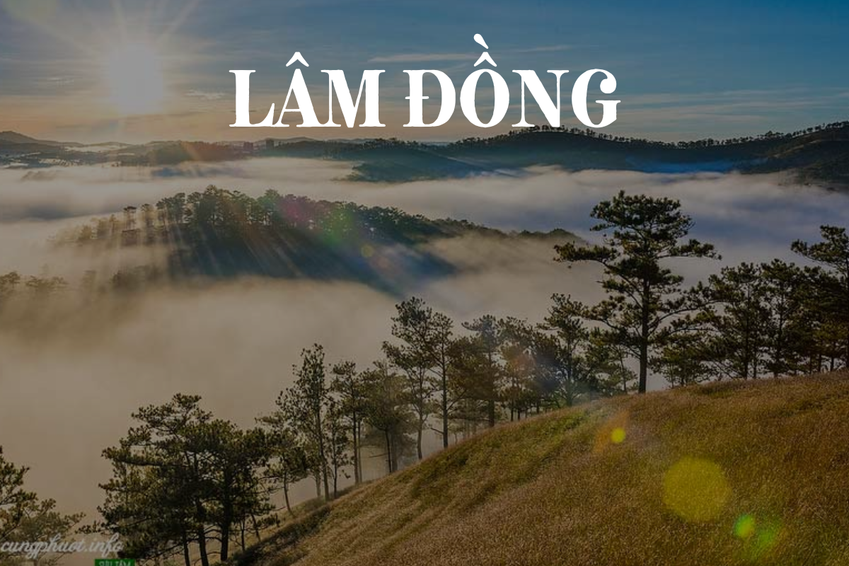 NHÀ XE BẢO NGỌC