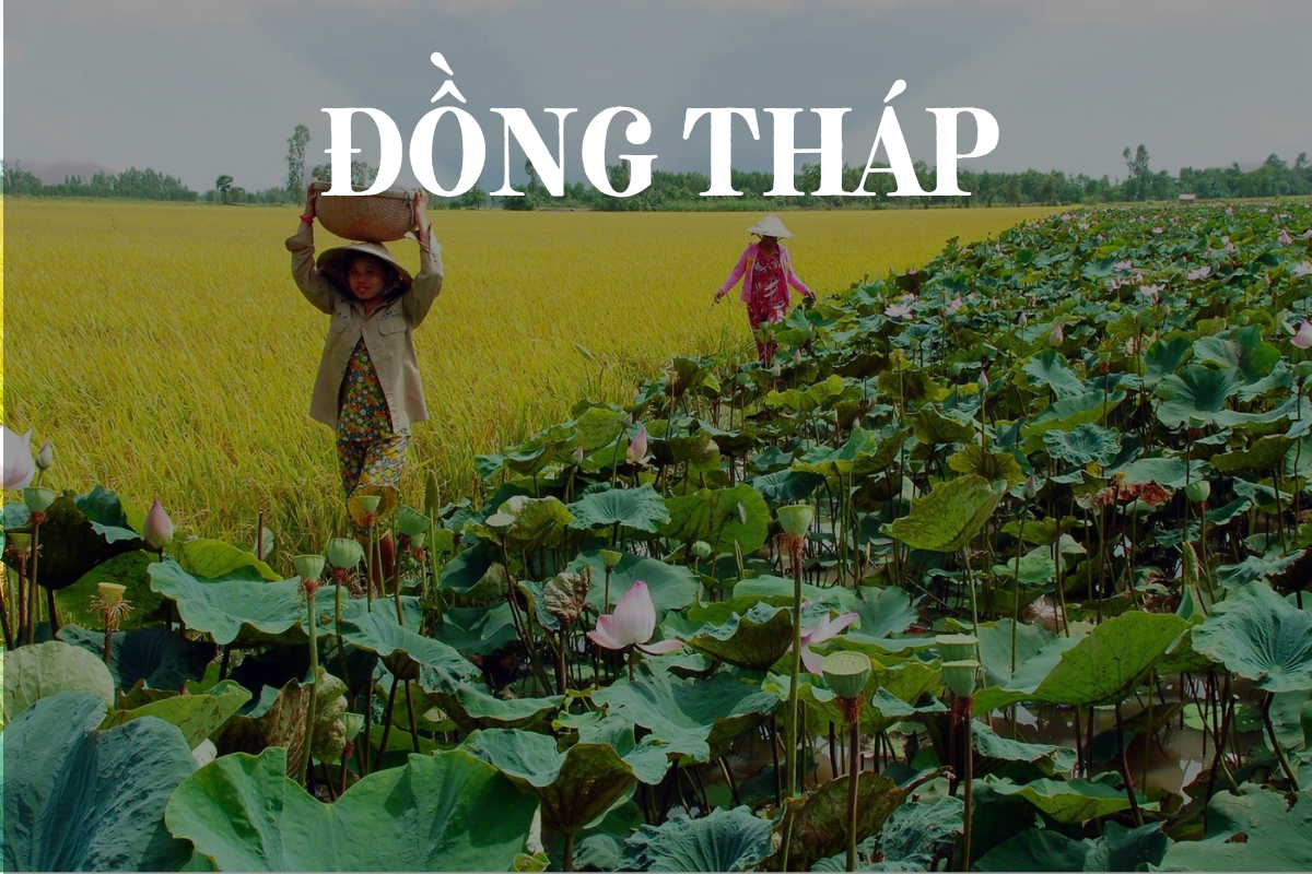 NHÀ XE BẢO NGỌC